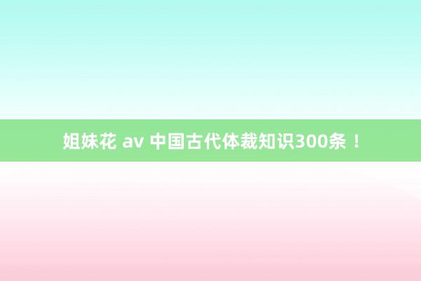 姐妹花 av 中国古代体裁知识300条 ！