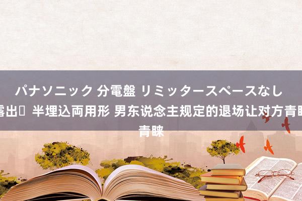 パナソニック 分電盤 リミッタースペースなし 露出・半埋込両用形 男东说念主规定的退场让对方青睐