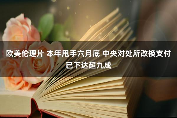 欧美伦理片 本年甩手六月底 中央对处所改换支付已下达超九成