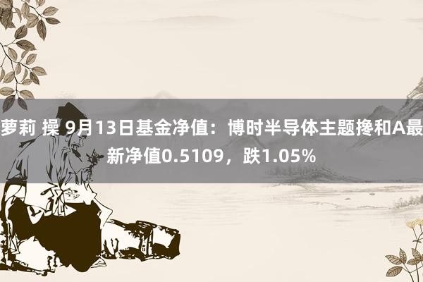 萝莉 操 9月13日基金净值：博时半导体主题搀和A最新净值0.5109，跌1.05%