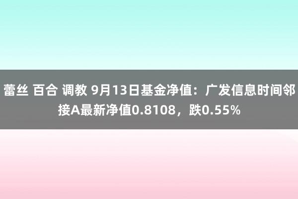 蕾丝 百合 调教 9月13日基金净值：广发信息时间邻接A最新净值0.8108，跌0.55%