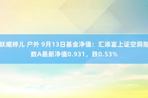 妖媚婷儿 户外 9月13日基金净值：汇添富上证空洞指数A最新净值0.931，跌0.53%