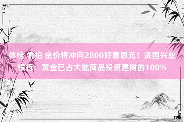 体检 偷拍 金价将冲向2800好意思元！法国兴业银行：黄金已占大批商品投资建树的100%