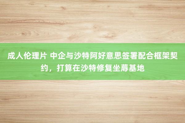 成人伦理片 中企与沙特阿好意思签署配合框架契约，打算在沙特修复坐蓐基地