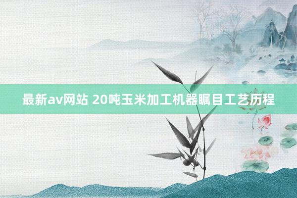 最新av网站 20吨玉米加工机器瞩目工艺历程