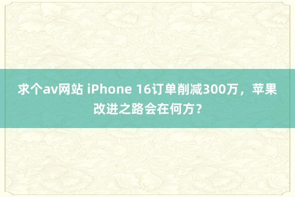 求个av网站 iPhone 16订单削减300万，苹果改进之路会在何方？