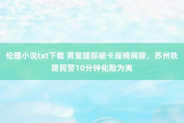 伦理小说txt下载 男童腿部被卡座椅间隙，苏州铁路民警10分钟化险为夷