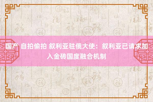 国产 自拍偷拍 叙利亚驻俄大使：叙利亚已请求加入金砖国度融合机制