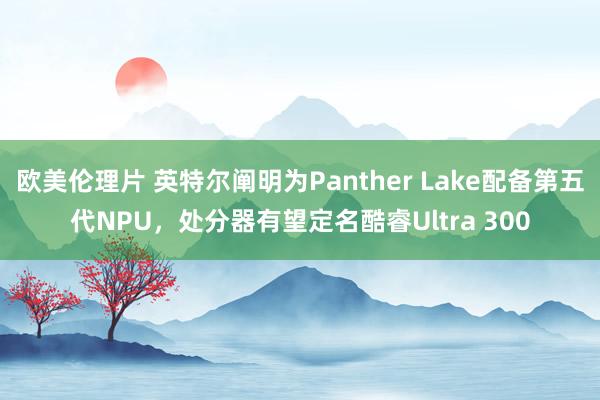 欧美伦理片 英特尔阐明为Panther Lake配备第五代NPU，处分器有望定名酷睿Ultra 300