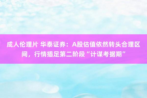 成人伦理片 华泰证券：A股估值依然转头合理区间，行情插足第二阶段“计谋考据期”