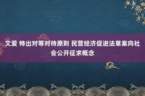 文爱 特出对等对待原则 民营经济促进法草案向社会公开征求概念