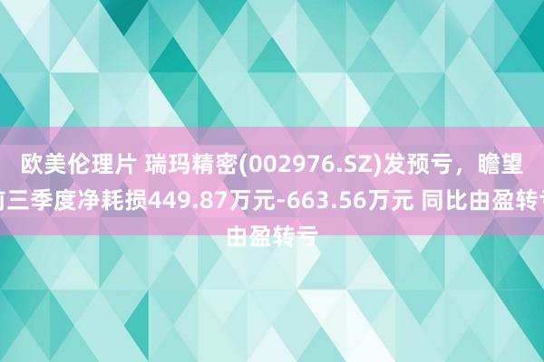 欧美伦理片 瑞玛精密(002976.SZ)发预亏，瞻望前三季度净耗损449.87万元-663.56万元 同比由盈转亏