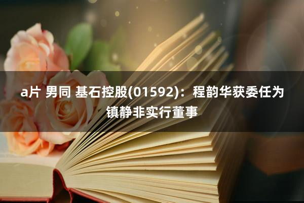 a片 男同 基石控股(01592)：程韵华获委任为镇静非实行董事