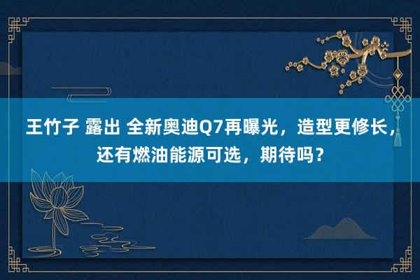 王竹子 露出 全新奥迪Q7再曝光，造型更修长，还有燃油能源可选，期待吗？