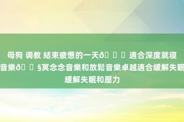 母狗 调教 結束疲憊的一天🌙適合深度就寝的療癒音樂🎧冥念念音樂和放鬆音樂卓越適合緩解失眠和壓力