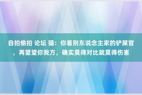 自拍偷拍 论坛 猫：你看别东说念主家的铲屎官，再望望你我方，确实莫得对比就莫得伤害