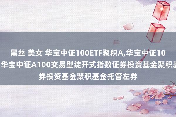 黑丝 美女 华宝中证100ETF聚积A，华宝中证100ETF聚积C: 华宝中证A100交易型绽开式指数证券投资基金聚积基金托管左券