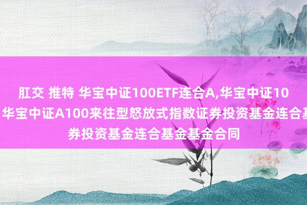 肛交 推特 华宝中证100ETF连合A，华宝中证100ETF连合C: 华宝中证A100来往型怒放式指数证券投资基金连合基金基金合同