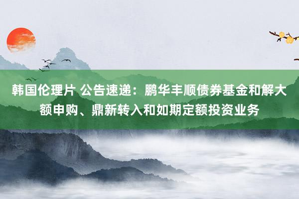 韩国伦理片 公告速递：鹏华丰顺债券基金和解大额申购、鼎新转入和如期定额投资业务