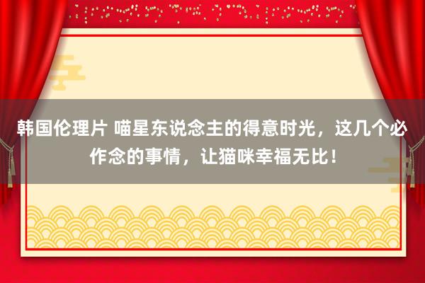 韩国伦理片 喵星东说念主的得意时光，这几个必作念的事情，让猫咪幸福无比！