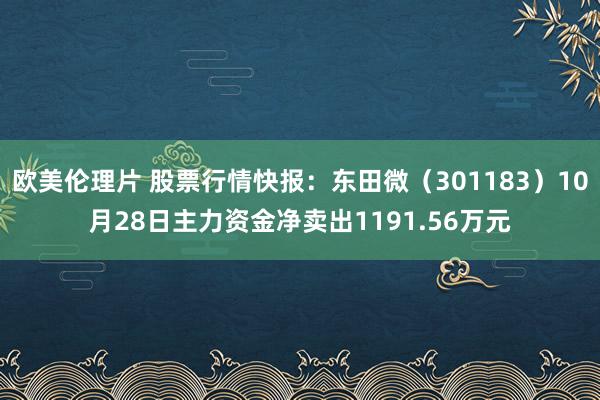 欧美伦理片 股票行情快报：东田微（301183）10月28日主力资金净卖出1191.56万元