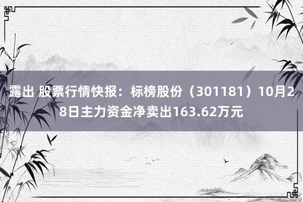 露出 股票行情快报：标榜股份（301181）10月28日主力资金净卖出163.62万元