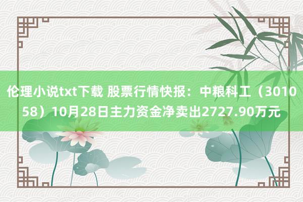 伦理小说txt下载 股票行情快报：中粮科工（301058）10月28日主力资金净卖出2727.90万元