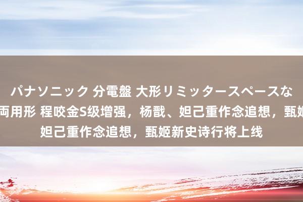 パナソニック 分電盤 大形リミッタースペースなし 露出・半埋込両用形 程咬金S级增强，杨戬、妲己重作念追想，甄姬新史诗行将上线