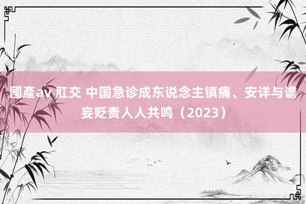 國產av 肛交 中国急诊成东说念主镇痛、安详与谵妄贬责人人共鸣（2023）