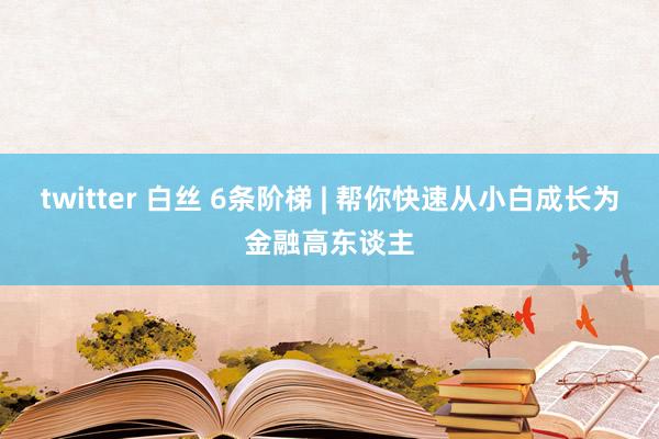 twitter 白丝 6条阶梯 | 帮你快速从小白成长为金融高东谈主