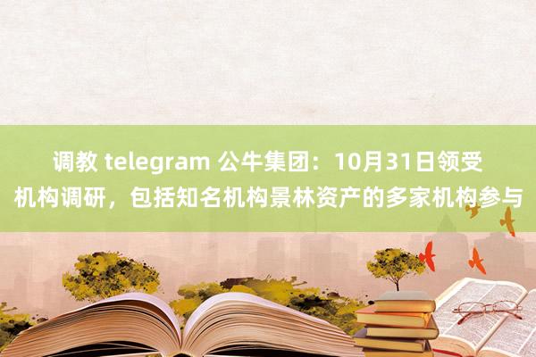 调教 telegram 公牛集团：10月31日领受机构调研，包括知名机构景林资产的多家机构参与