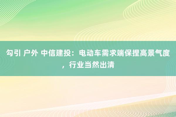 勾引 户外 中信建投：电动车需求端保捏高景气度，行业当然出清