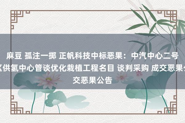 麻豆 孤注一掷 正帆科技中标恶果：中汽中心二号院区供氢中心管谈优化栽植工程名目 谈判采购 成交恶果公