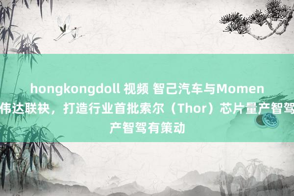 hongkongdoll 视频 智己汽车与Momenta、英伟达联袂，打造行业首批索尔（Thor）芯片量产智驾有策动