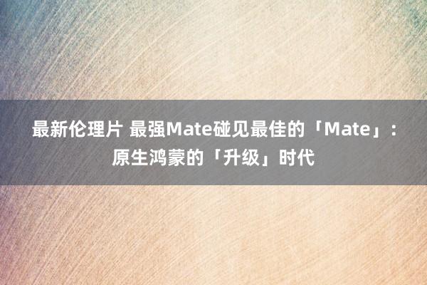 最新伦理片 最强Mate碰见最佳的「Mate」：原生鸿蒙的「升级」时代