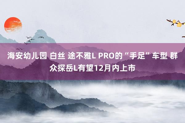 海安幼儿园 白丝 途不雅L PRO的“手足”车型 群众探岳L有望12月内上市