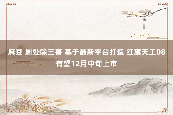 麻豆 周处除三害 基于最新平台打造 红旗天工08有望12月中旬上市