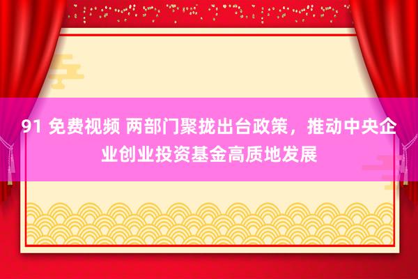 91 免费视频 两部门聚拢出台政策，推动中央企业创业投资基金高质地发展