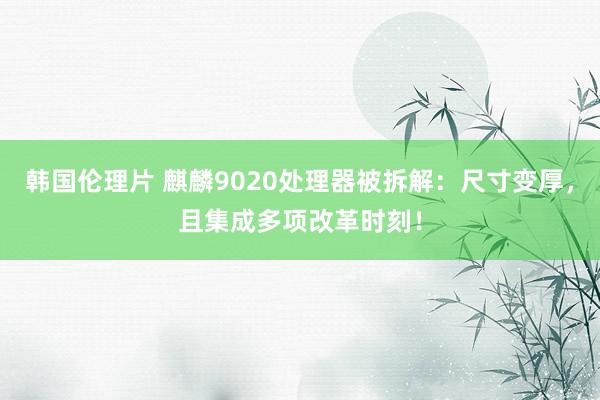 韩国伦理片 麒麟9020处理器被拆解：尺寸变厚，且集成多项改革时刻！