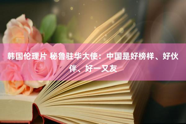 韩国伦理片 秘鲁驻华大使：中国是好榜样、好伙伴、好一又友