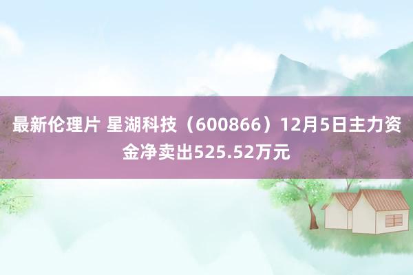 最新伦理片 星湖科技（600866）12月5日主力资金净卖出525.52万元