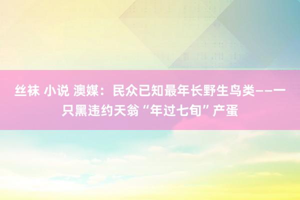 丝袜 小说 澳媒：民众已知最年长野生鸟类——一只黑违约天翁“年过七旬”产蛋