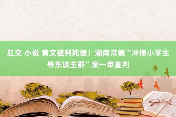 肛交 小说 黄文被判死缓！湖南常德“冲撞小学生等东谈主群”案一审宣判