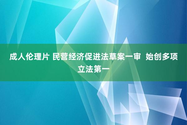 成人伦理片 民营经济促进法草案一审  始创多项立法第一