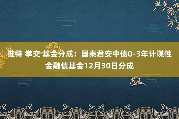 推特 拳交 基金分成：国泰君安中债0-3年计谋性金融债基金12月30日分成