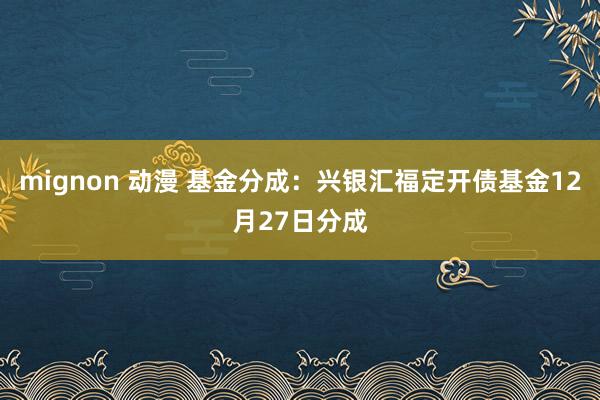 mignon 动漫 基金分成：兴银汇福定开债基金12月27日分成