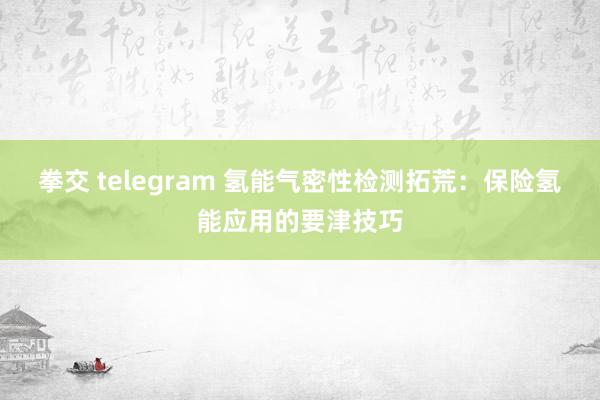 拳交 telegram 氢能气密性检测拓荒：保险氢能应用的要津技巧