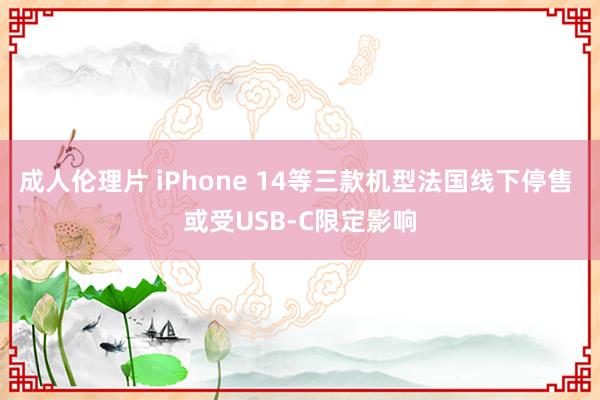 成人伦理片 iPhone 14等三款机型法国线下停售 或受USB-C限定影响