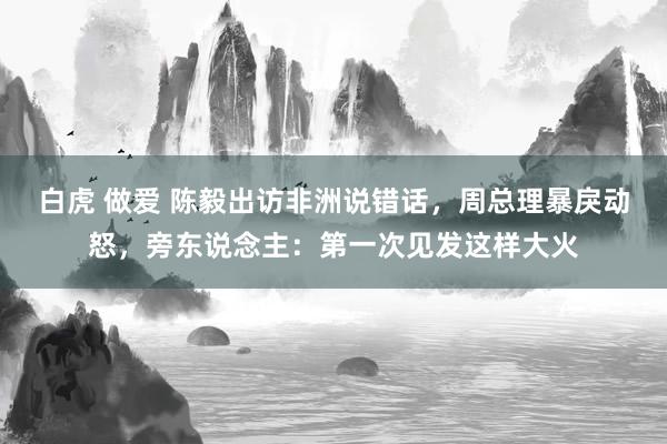 白虎 做爱 陈毅出访非洲说错话，周总理暴戾动怒，旁东说念主：第一次见发这样大火