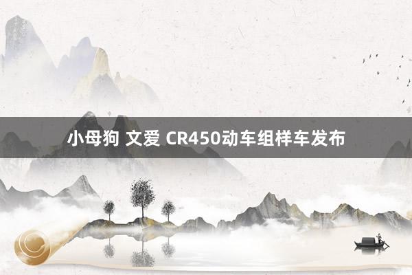 小母狗 文爱 CR450动车组样车发布